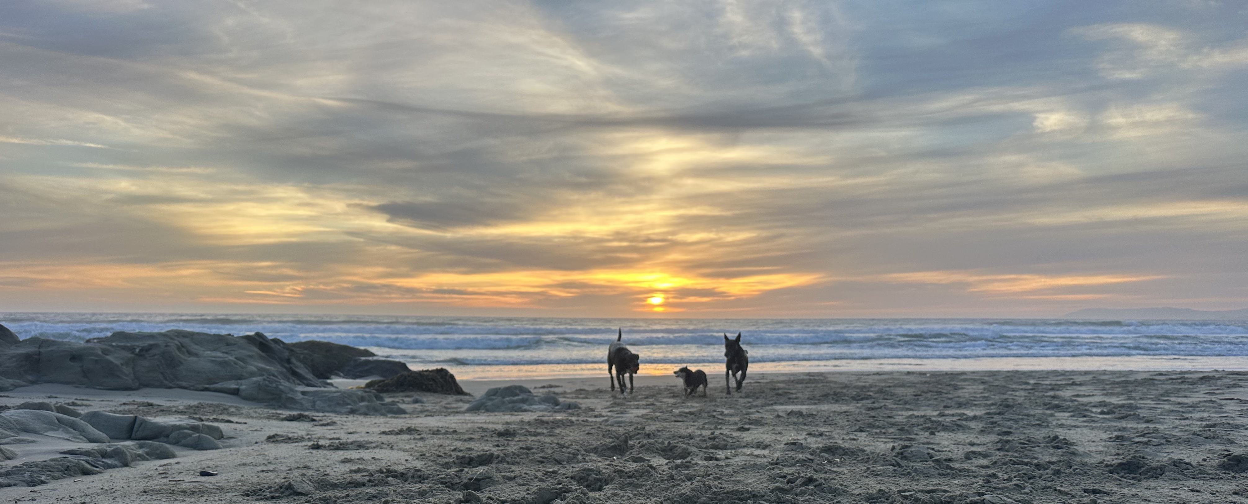 Glorious sunrise with our 4-legged and 2-legged family